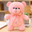 (35cm,Pink)Teddy Bear Plush Toy Animal Plush Doll 2