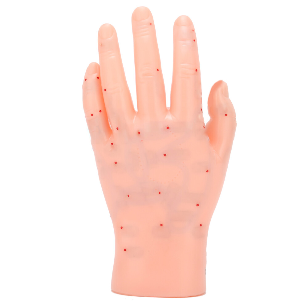Left Hand Acupuncture Point Model for Teaching and Reference, PVC Material