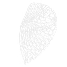 Compact & Lightweight Fishing Net Perfect for Catch and Release Practices