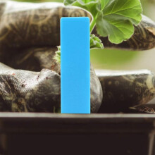(Blue) 100 Pcs Succulent Plastic Insert Ground Sign Gardening Sign Flower Plant Seed Name Stake Tag Label Marker (blue)