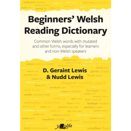Beginners Welsh Reading Dictionary by D. Geraint Lewis Paperback Book