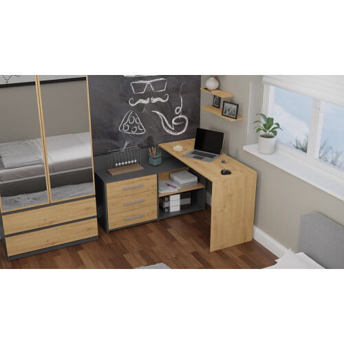 Topeshop DANY ANT/ART KPL computer desk 2