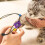 Garrot professionnel pour animaux, 5 pièces, garrot d'urgence 6