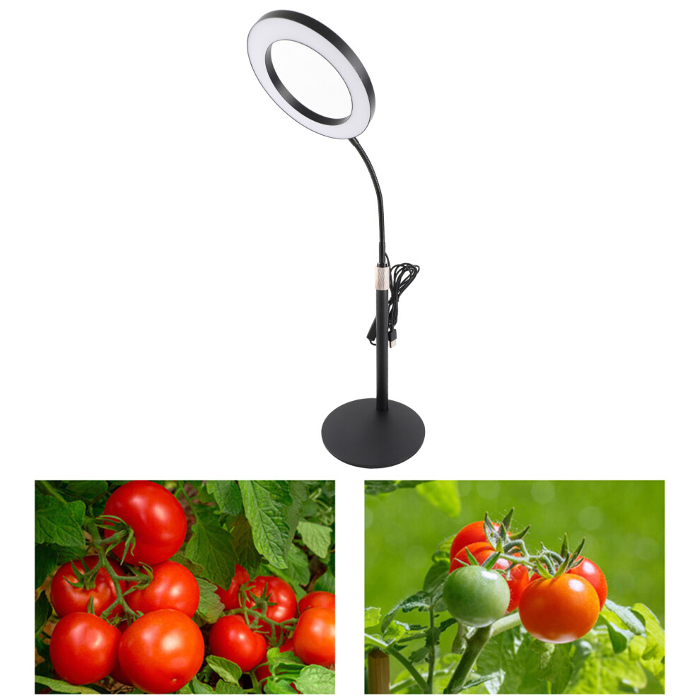 Light Full Spectrum Adjustable Grow With Timer & Dimming For All Plant Stages