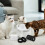 1Ensemble Filtre Animaux Compatible Couleur Variée 11