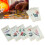 Beginner Oracle-Karten-Set Wahrsagung Orakel Deck 10,6x6,3cm 16