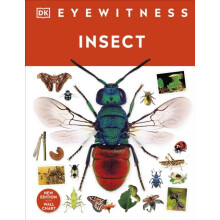 Insect by DK Hardcover Book