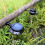 Außerhalb Solar Landschaft Zaun Hof 3LED Lampe 8