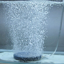 Effizienter 4 cm Luftstein-Aerator für hydroponische Systeme und Aquarien