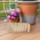 3 Fairy Omheining: DIY Miniatuur Prikbord 4