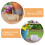 3 Fairy Omheining: DIY Miniatuur Prikbord 9