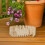 3 Fairy Omheining: DIY Miniatuur Prikbord 5