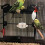 Futterschale Für , Wasserspender Für Vogelkäfig 6