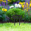 No Dog Pooping Schild Für Garten Metall Mit 11