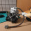 Multi Color Metal Assembly for Motorcycle Engine Repair 6