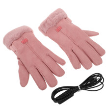 Ein Paar Beheizte Für Frauen, Warm, , Winddicht, Rosa