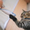 4 Unidades Botas De Para Y Perros Heridas 7