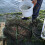 Fish Trap : Filet Pliable 6 Trous Pour Crevettes 4