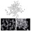 100Pcs Clear Plastic Earring Backs 4