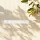 Support Murale 12 Trous Pour Rangement Ciseaux 7