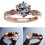Women's Silver Plated Round Cubic Zirconia Wedding Ring Us7 6