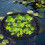 Floating Plant Island Protector Pond Planter Fish Barrier Round Ring 4