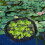 Floating Plant Island Protector Pond Planter Fish Barrier Round Ring 5