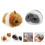 2St Kattenmuis Speelgoed Interactief Kitten Speelgoed 4