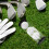6 Scatole Trasparenti In Per Palline Golf 5