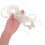 Butterfly Waist Chain: Colar De Com , Sobreposta 4