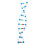 Molecular De DNA De Para 1