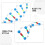 Molecular De DNA De Para 8