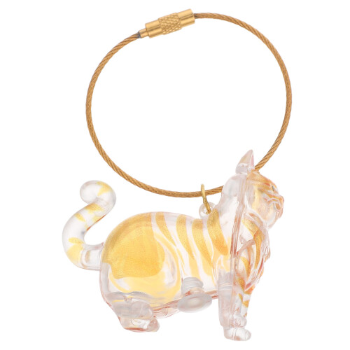 Transparent För Katt Hår, Nyckelring, Minneslåda För /