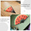 3Pcs Luminous Chinese Fan With Watermelon Design 8