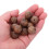 1Bag Medium Wood Beads For Whiskey Wine Aging 4
