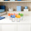 10Pcs Bug Jars Viewer: Clear Plastic Observation Box With Flip Lid 5