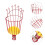 Fruit Picker Basket Head For Apples Cherries Lemon Mango 10