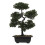 2 Unidades Árvore Bonsai Artificial Vaso Planta 1