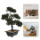 2 Unidades Árvore Bonsai Artificial Vaso Planta 9
