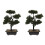 2 Unidades Árvore Bonsai Artificial Vaso Planta 2