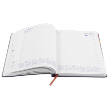 Planner Agenda Diária 2026 Com Mensal E Capa A5