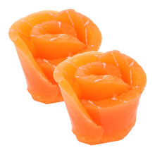 2 Fatias De Salmão Artificial Realistas Para Sushi E Exposição