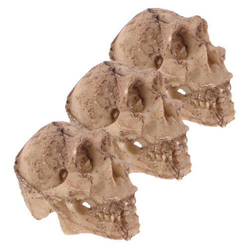 3Pcs Decoração Crânio Resina Para Terrários Répteis