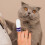 4 Unidades Escova De Dentes Para Cães E , , 6