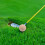 6 Unidades Bolas De Croquet 5,5 Cm Para Artesanato E 5