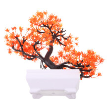 Konstig Bonsai Tall Falsk Diskväxt Receptions Utsmyckning Heminredning