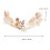 Pearl Shell Conch Legering Kroon Haarband Voor Vrouw Feest Bruiloft 2