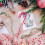 4pcs Christmas String Light Cutting Dies Carbon Steel 6