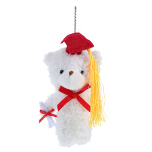 Cute Wit Afstudeer Beer Voor Feest Decoraties