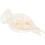 Resin Helig Ornamang Dop Tematisk Skrivbordsdekoration 10